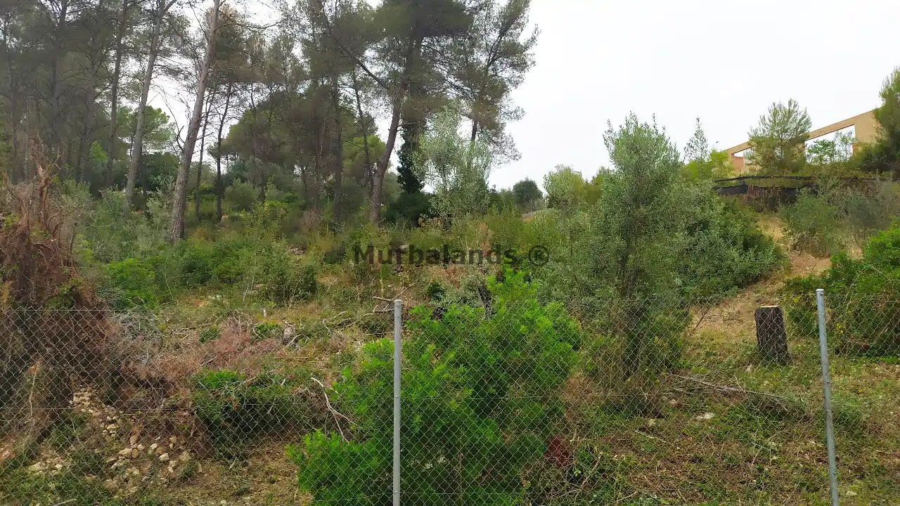 Foto de un terreno o una obra parada para mostrar en el detalle del inmueble