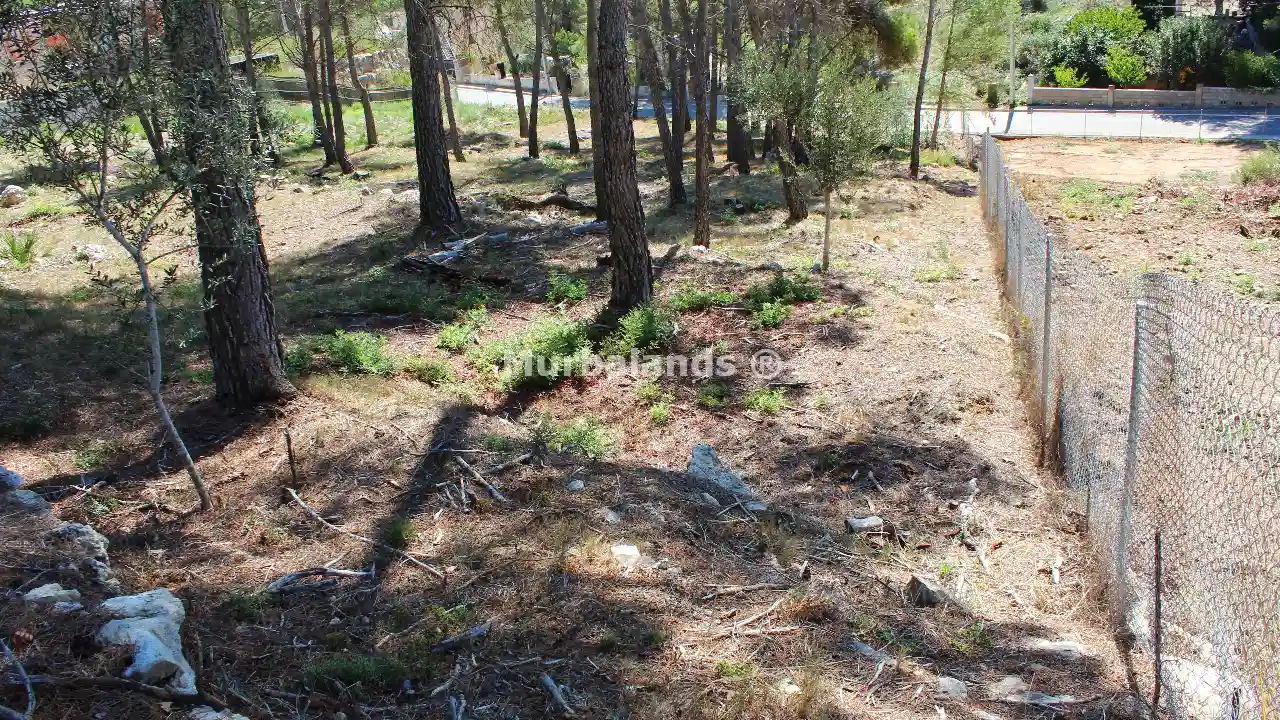 Foto de un terreno o una obra parada para mostrar en el detalle del inmueble
