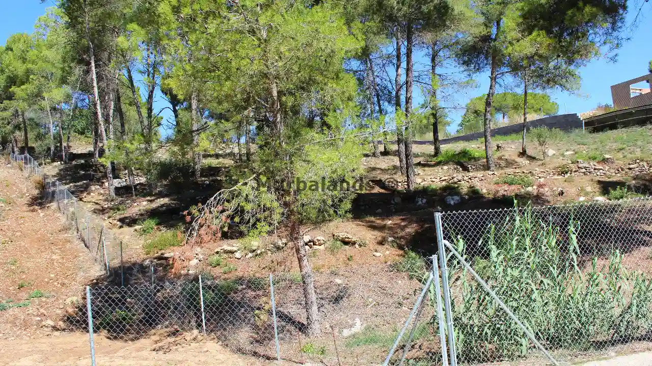Foto de un terreno o una obra parada para mostrar en el detalle del inmueble