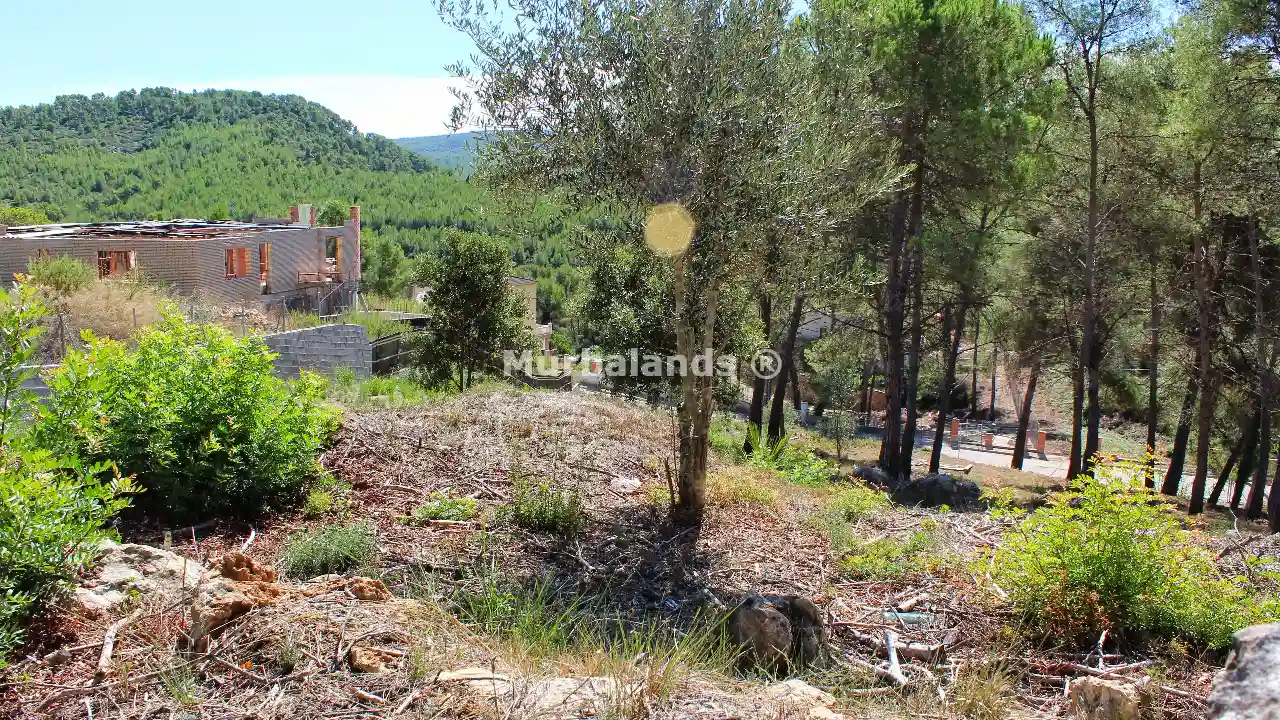 Foto de un terreno o una obra parada para mostrar en el detalle del inmueble