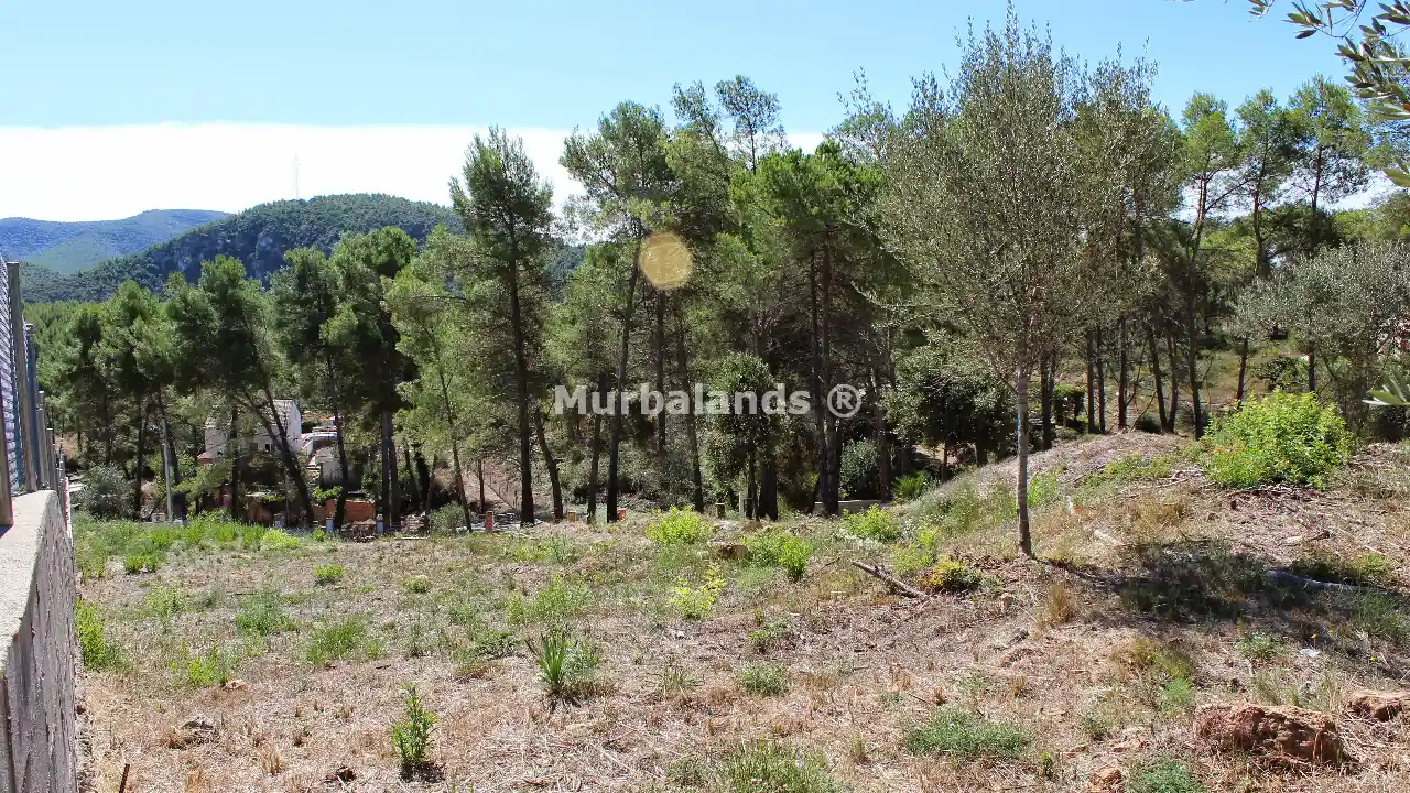 Foto de un terreno o una obra parada para mostrar en el detalle del inmueble