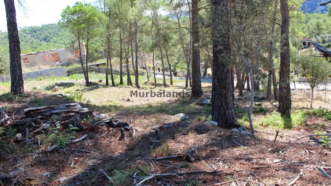 Foto de un terreno o una obra parada para mostrar en el detalle del inmueble