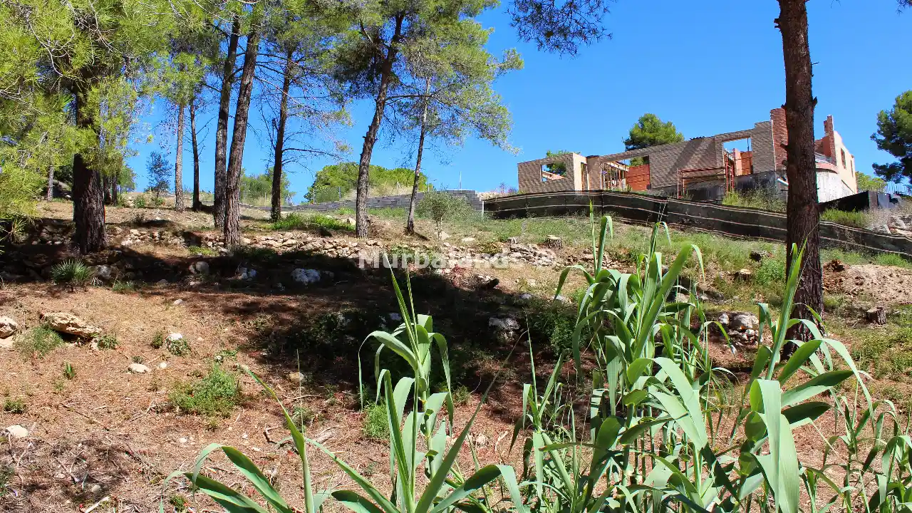 Foto de un terreno o una obra parada para mostrar en el detalle del inmueble