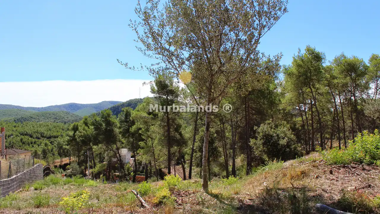 Foto de un terreno o una obra parada para mostrar en el detalle del inmueble