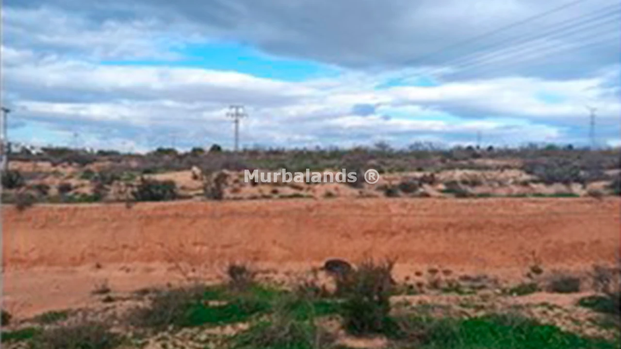 Terreno destacado