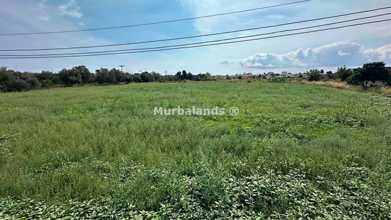 Foto de un terreno o una obra parada para mostrar en el detalle del inmueble