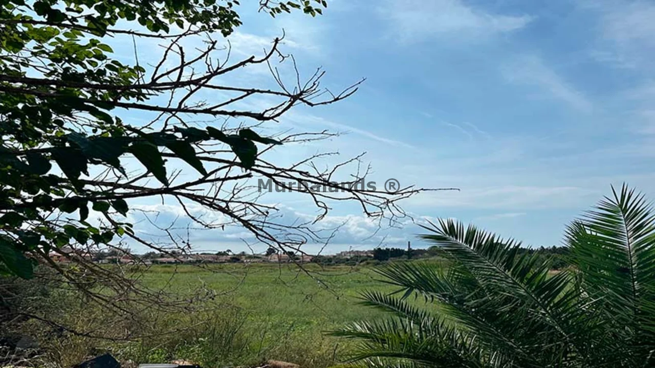 Foto de un terreno o una obra parada para mostrar en el detalle del inmueble