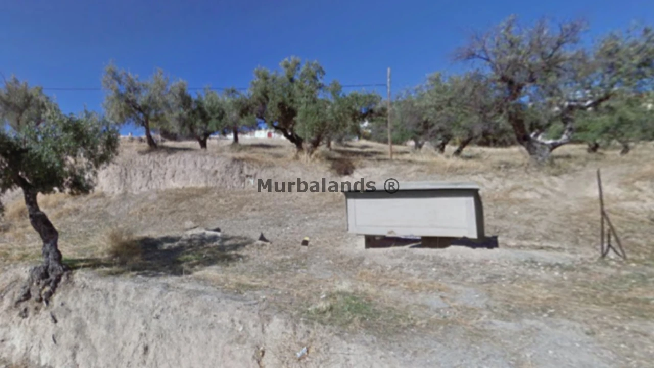 Foto de un terreno o una obra parada para mostrar en el detalle del inmueble