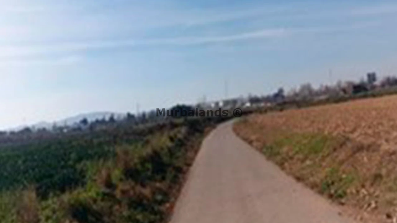 Foto 19 del terreno Ref. 00000979