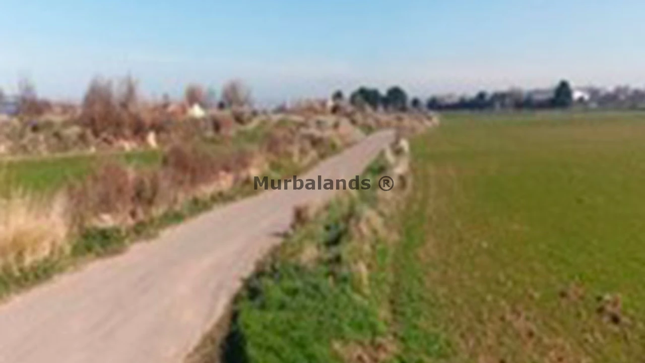 Foto de un terreno o una obra parada para mostrar en el detalle del inmueble