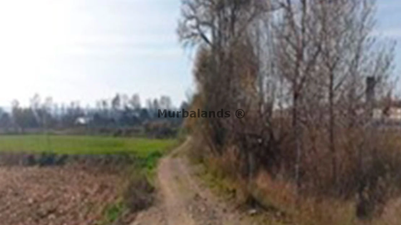 Foto 8 del terreno Ref. 00000979