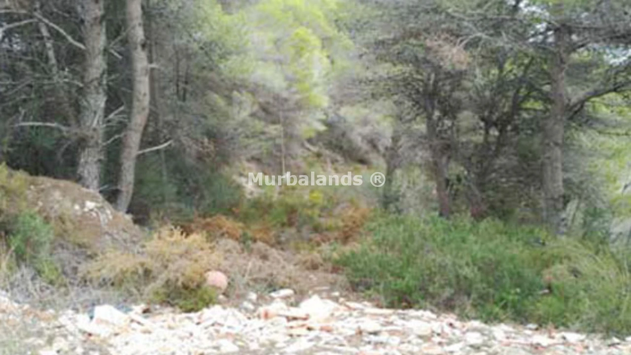 Foto de un terreno o una obra parada para mostrar en el detalle del inmueble