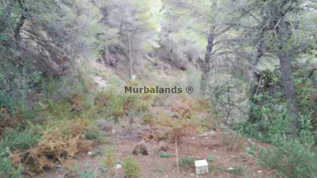 Foto de un terreno o una obra parada para mostrar en el detalle del inmueble