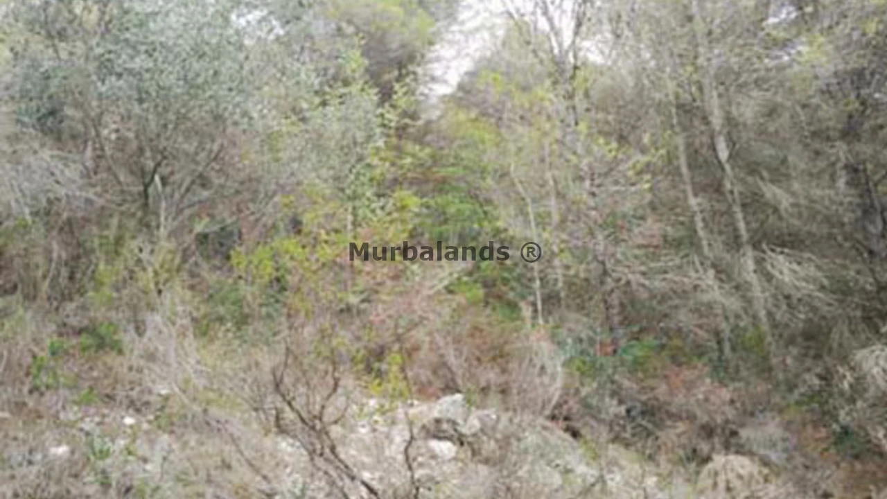 Foto de un terreno o una obra parada para mostrar en el detalle del inmueble