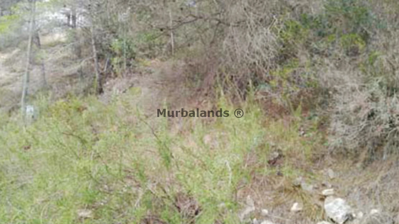 Foto de un terreno o una obra parada para mostrar en el detalle del inmueble