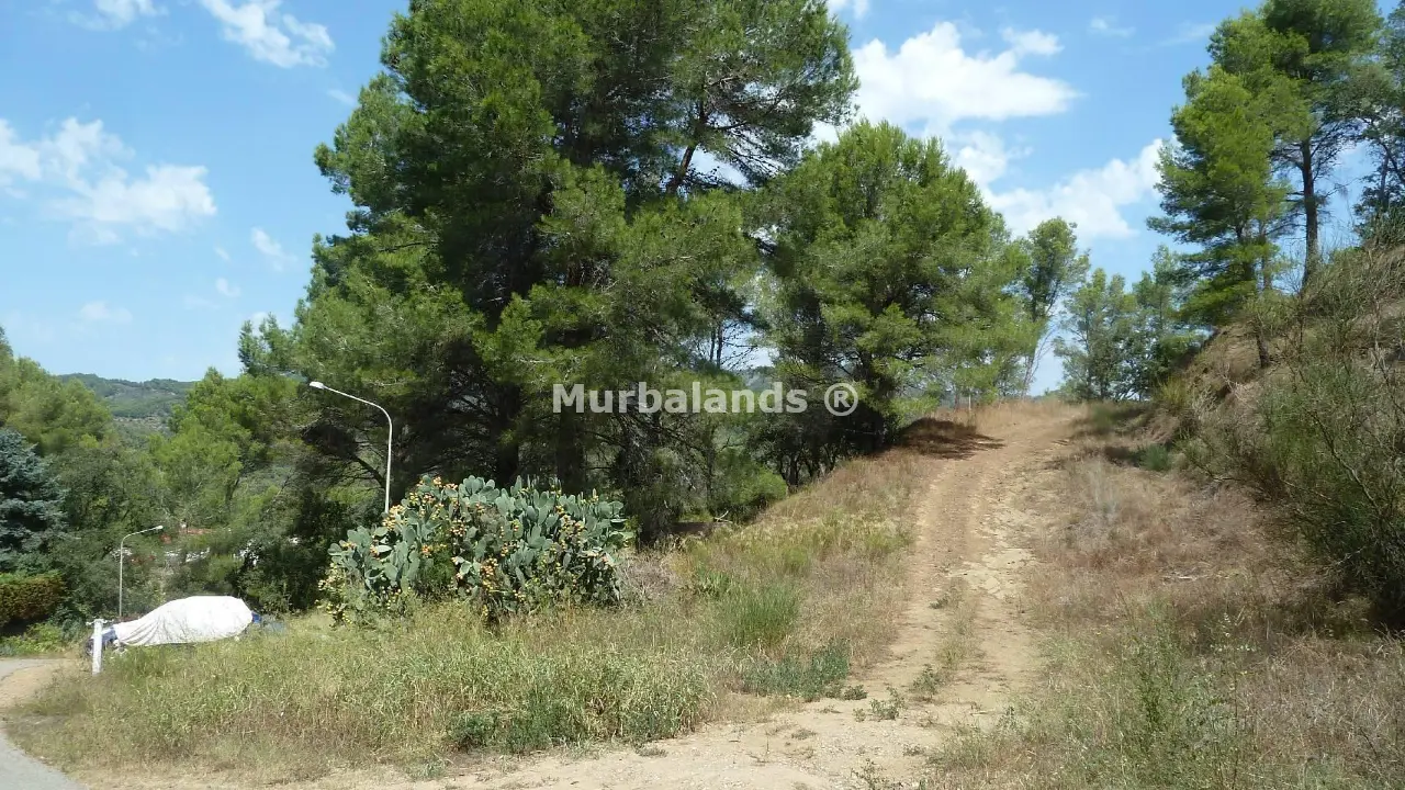 Terreno destacado