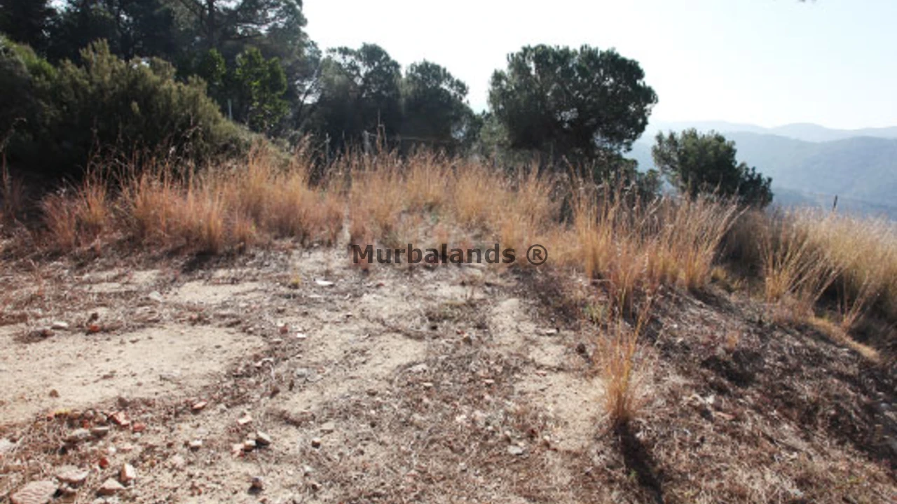 Foto de un terreno o una obra parada para mostrar en el detalle del inmueble