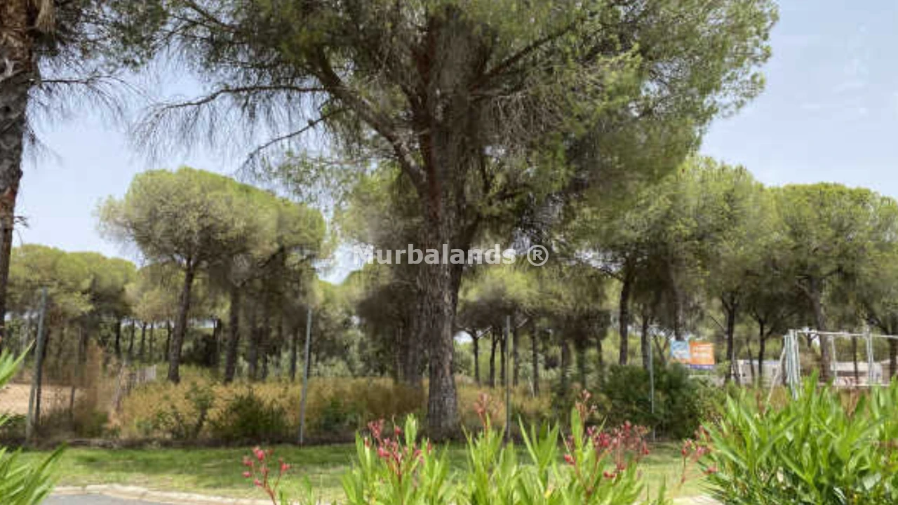 Foto del anuncio Ref. 00005329