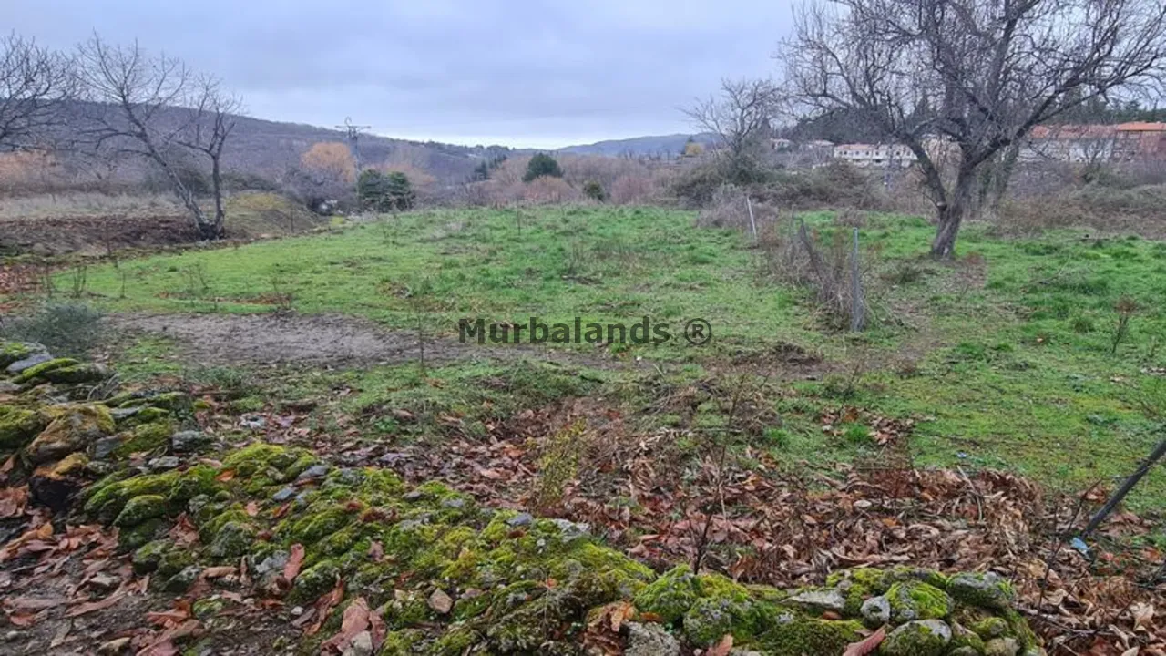 Foto de un terreno o una obra parada para mostrar en el detalle del inmueble