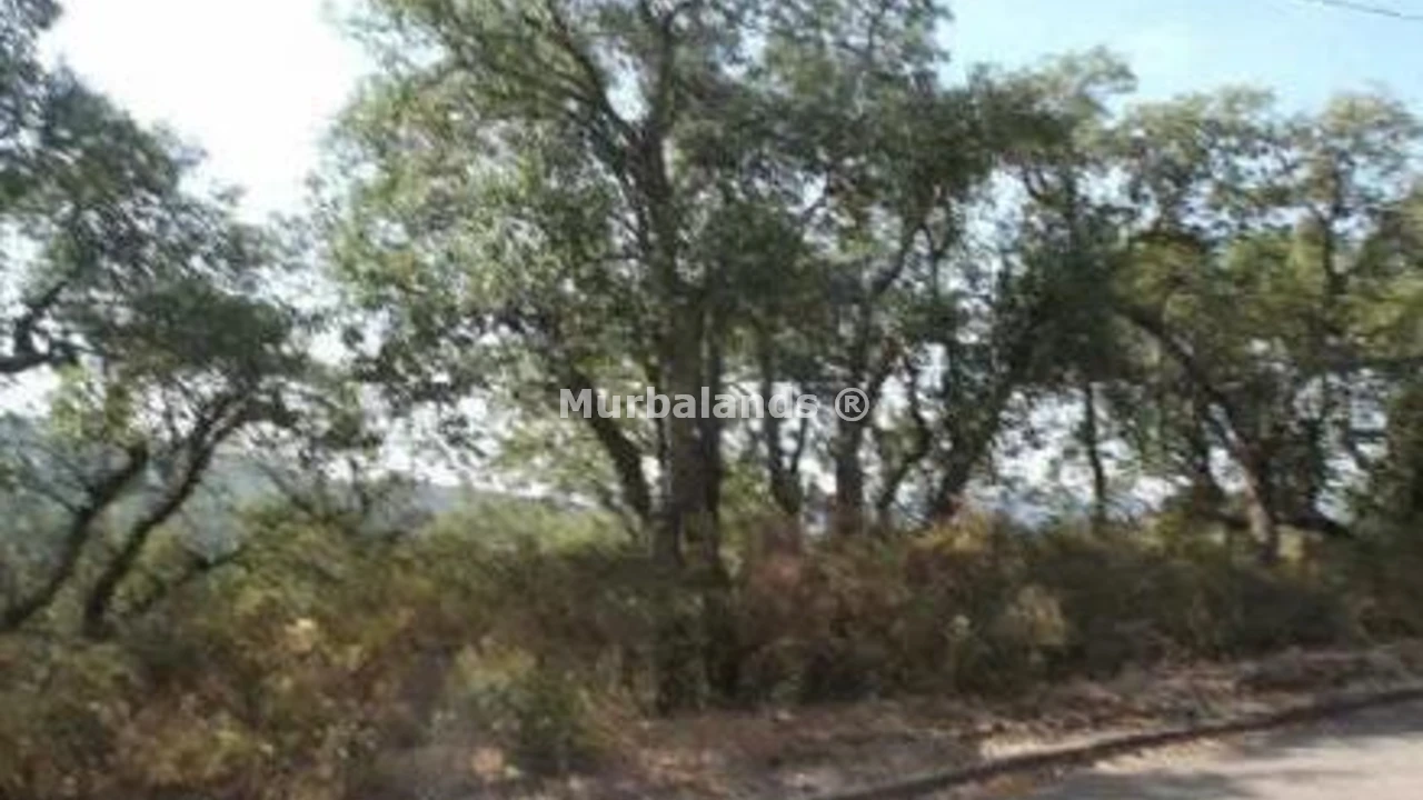 Terreno destacado