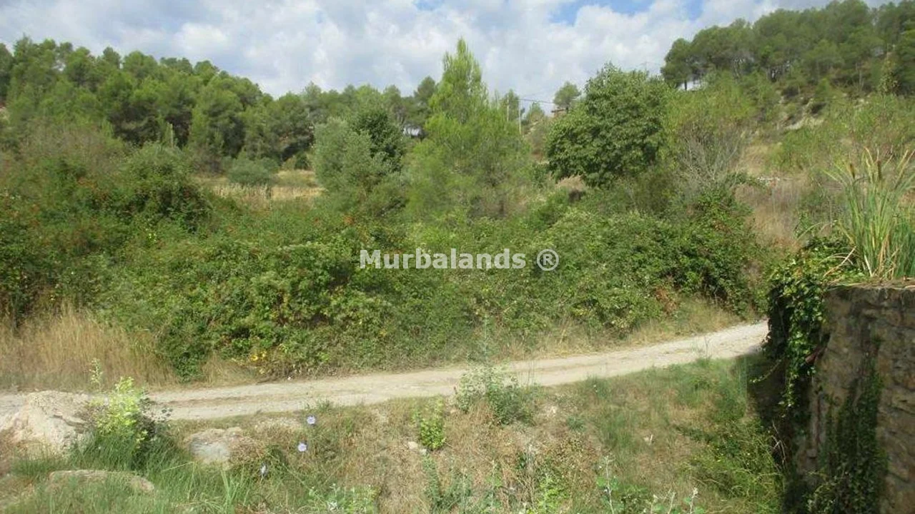 Terreno destacado