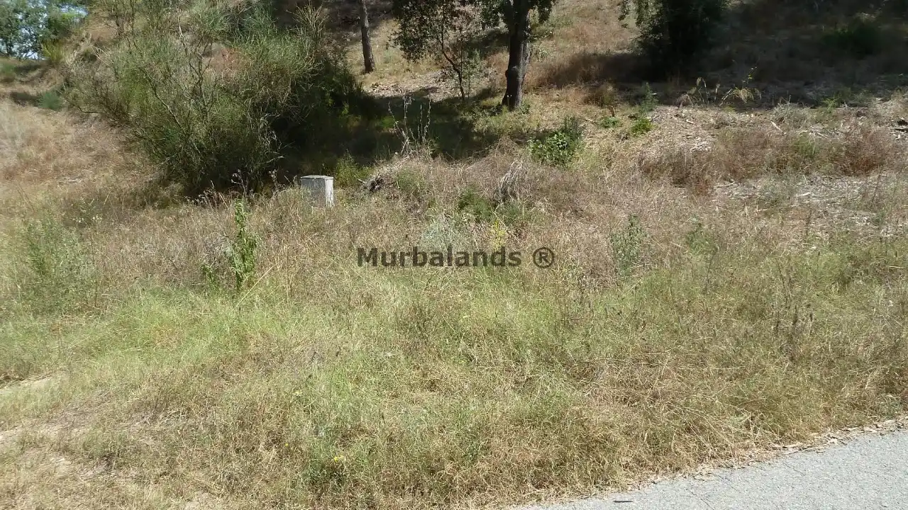 Terreno destacado