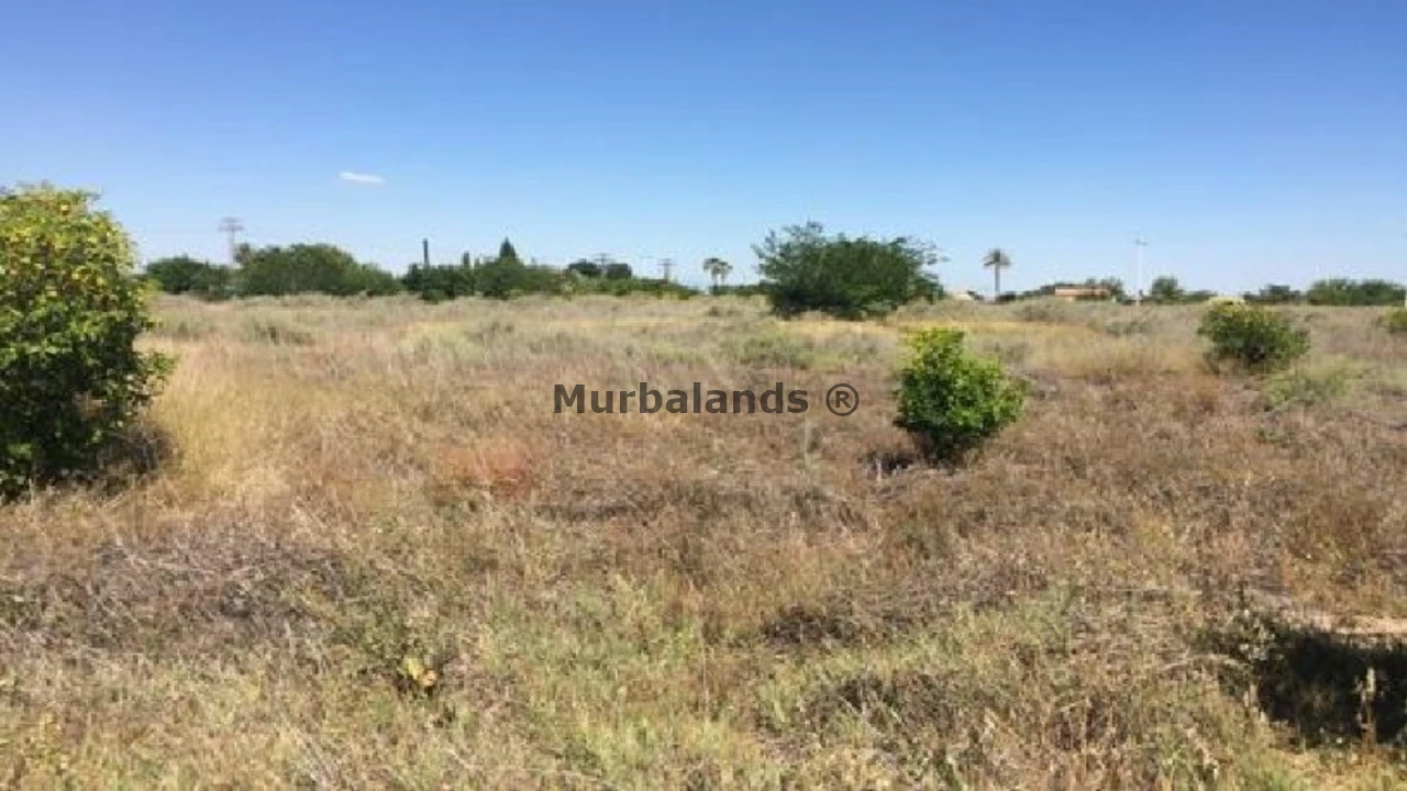 Foto de un terreno o una obra parada para mostrar en el detalle del inmueble