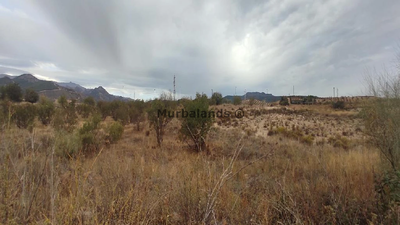 Foto de un terreno o una obra parada para mostrar en el detalle del inmueble