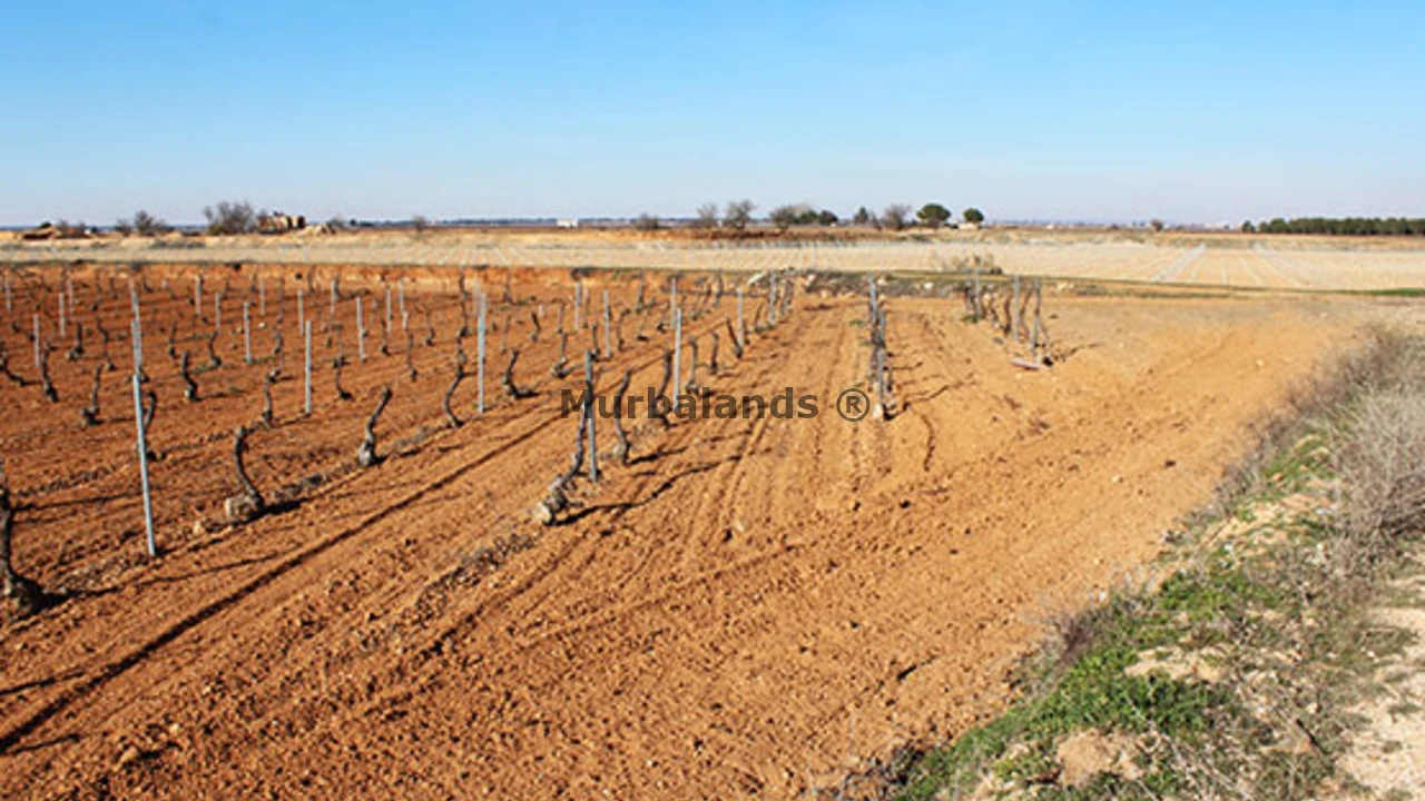 Foto de un terreno o una obra parada para mostrar en el detalle del inmueble