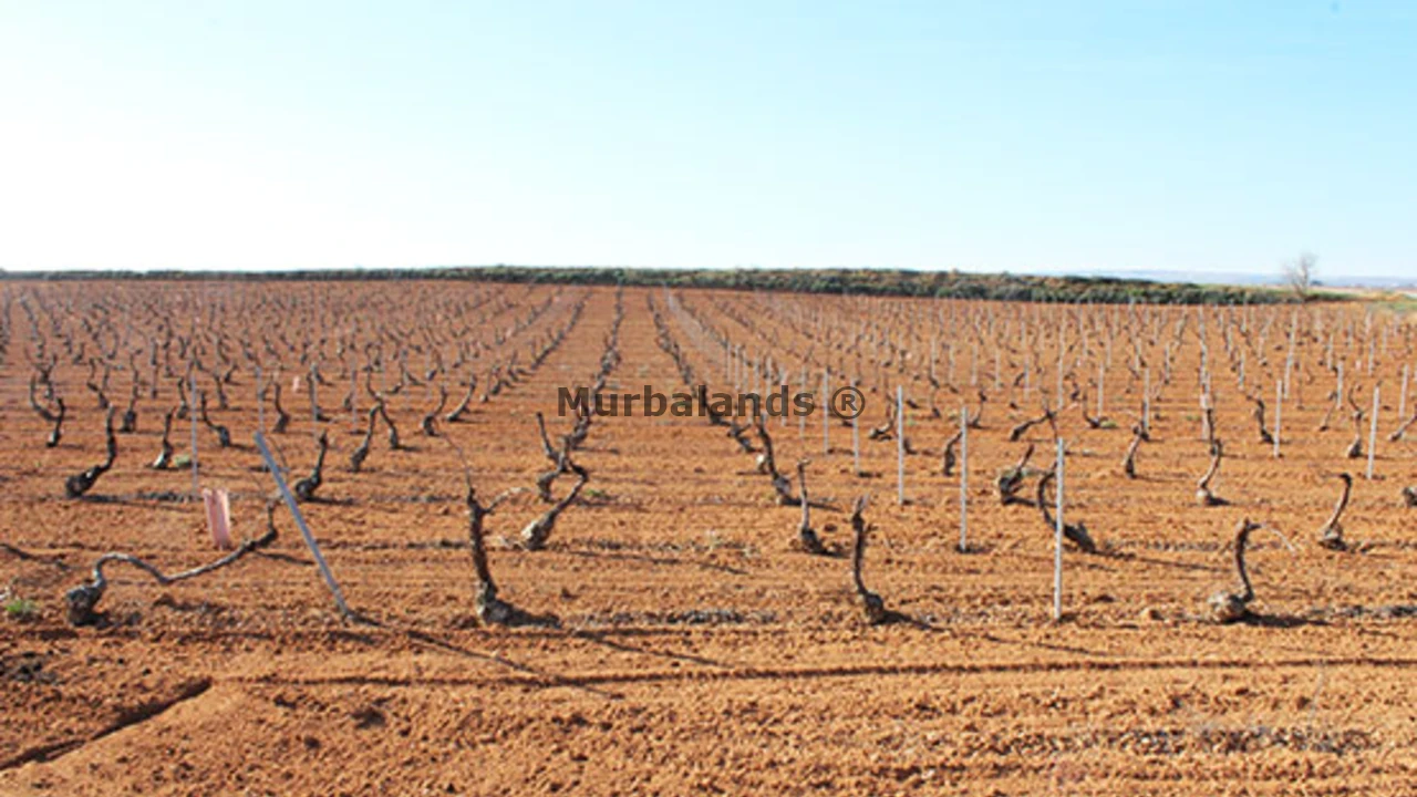 Terreno destacado