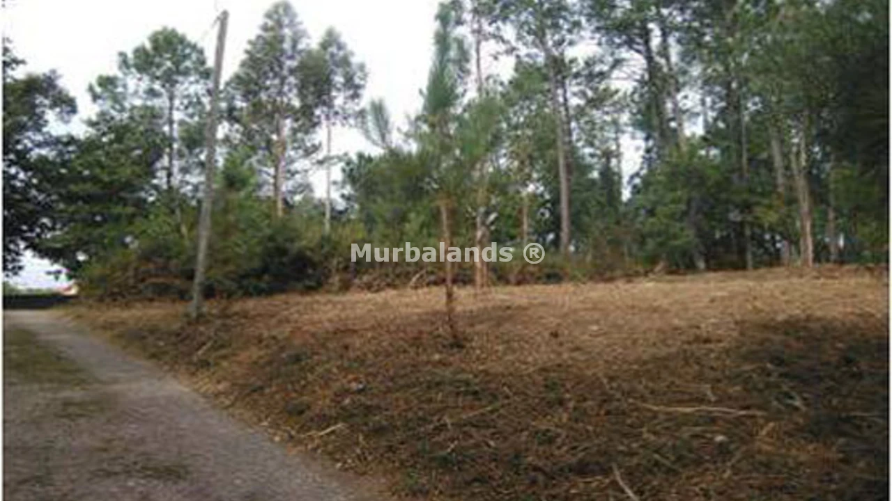 Terreno destacado