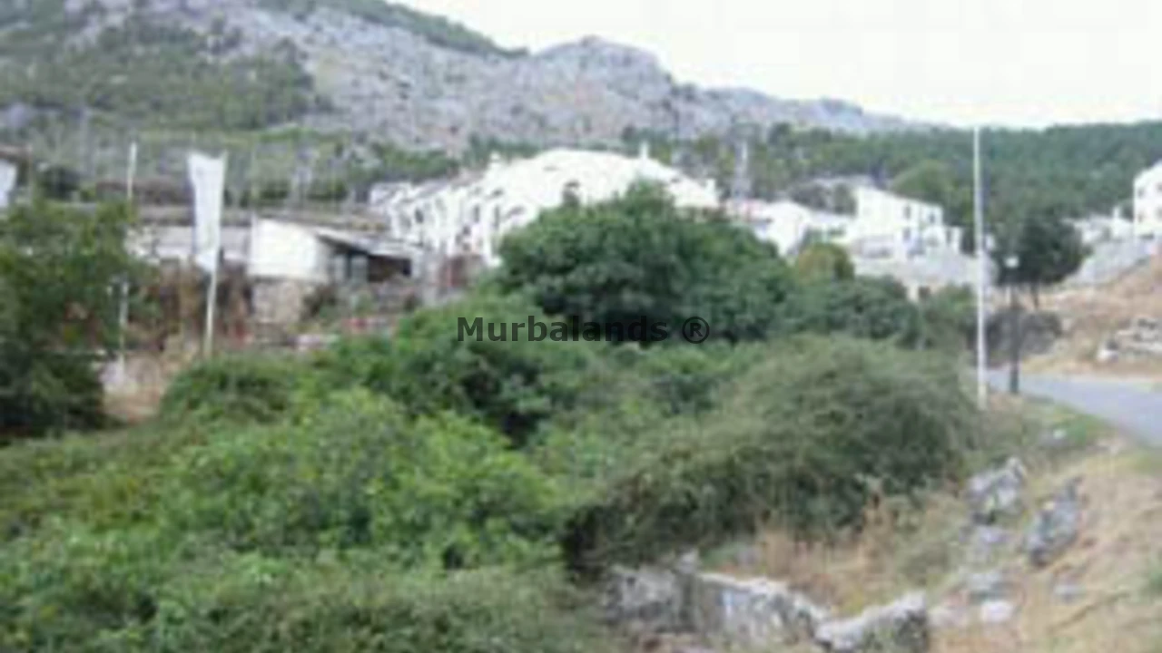 Terreno destacado