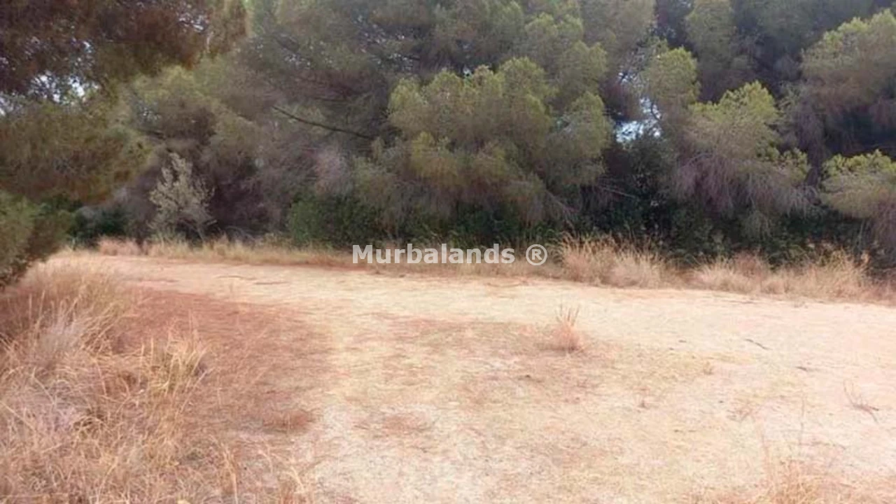 Foto de un terreno o una obra parada para mostrar en el detalle del inmueble