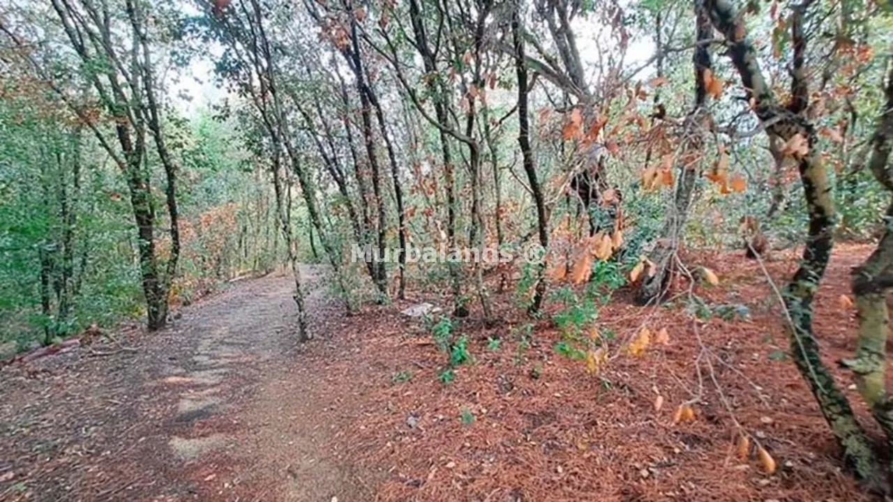 Foto de un terreno o una obra parada para mostrar en el detalle del inmueble