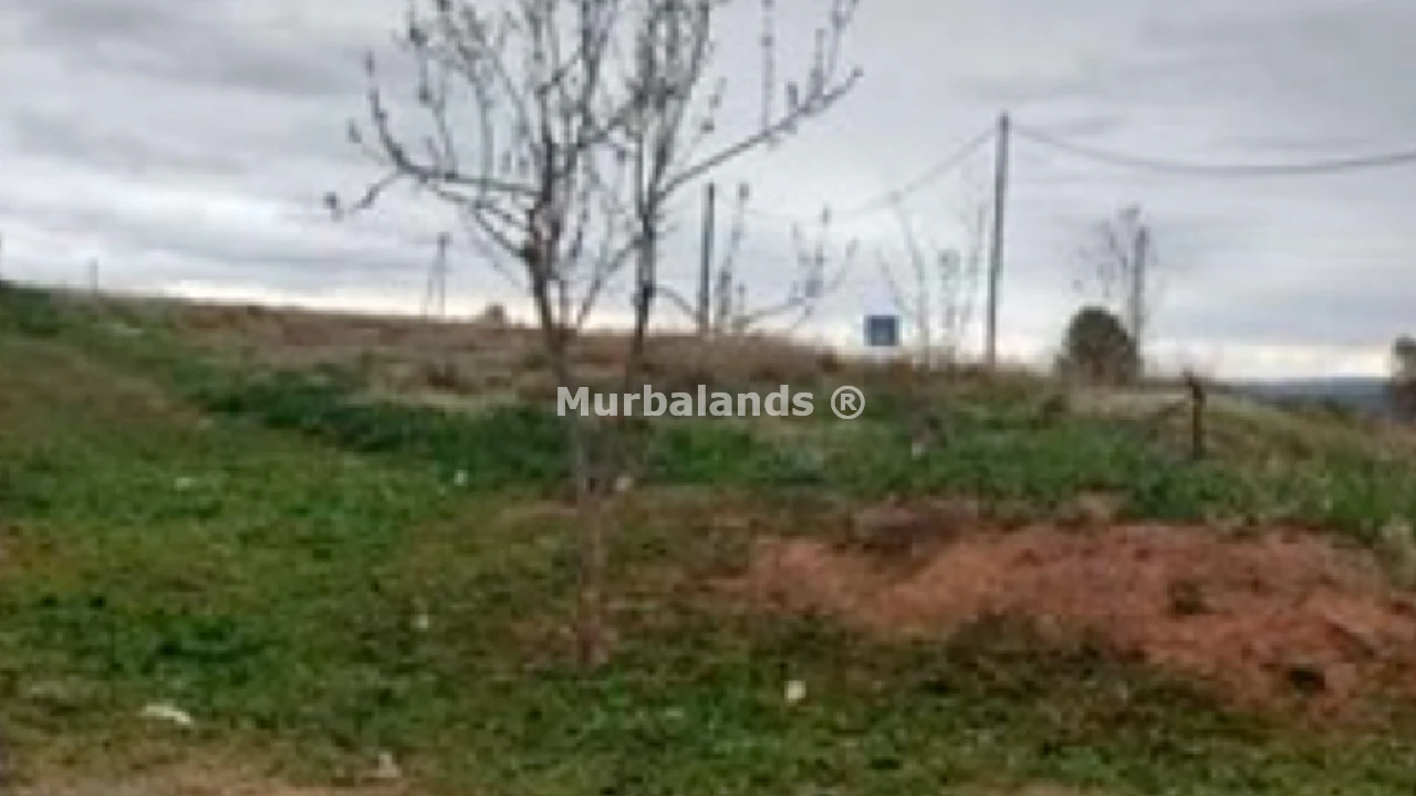 Terreno destacado
