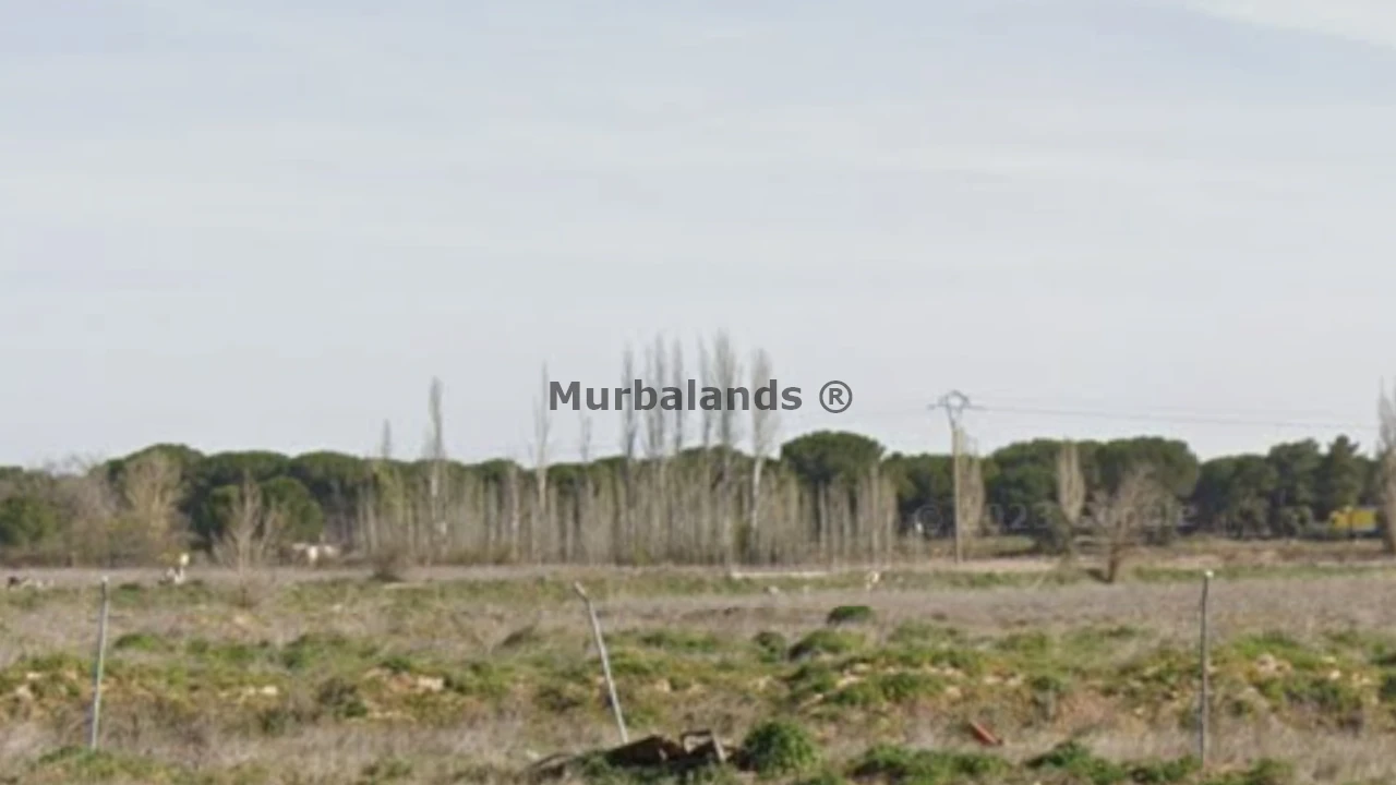 Foto de un terreno o una obra parada para mostrar en el detalle del inmueble