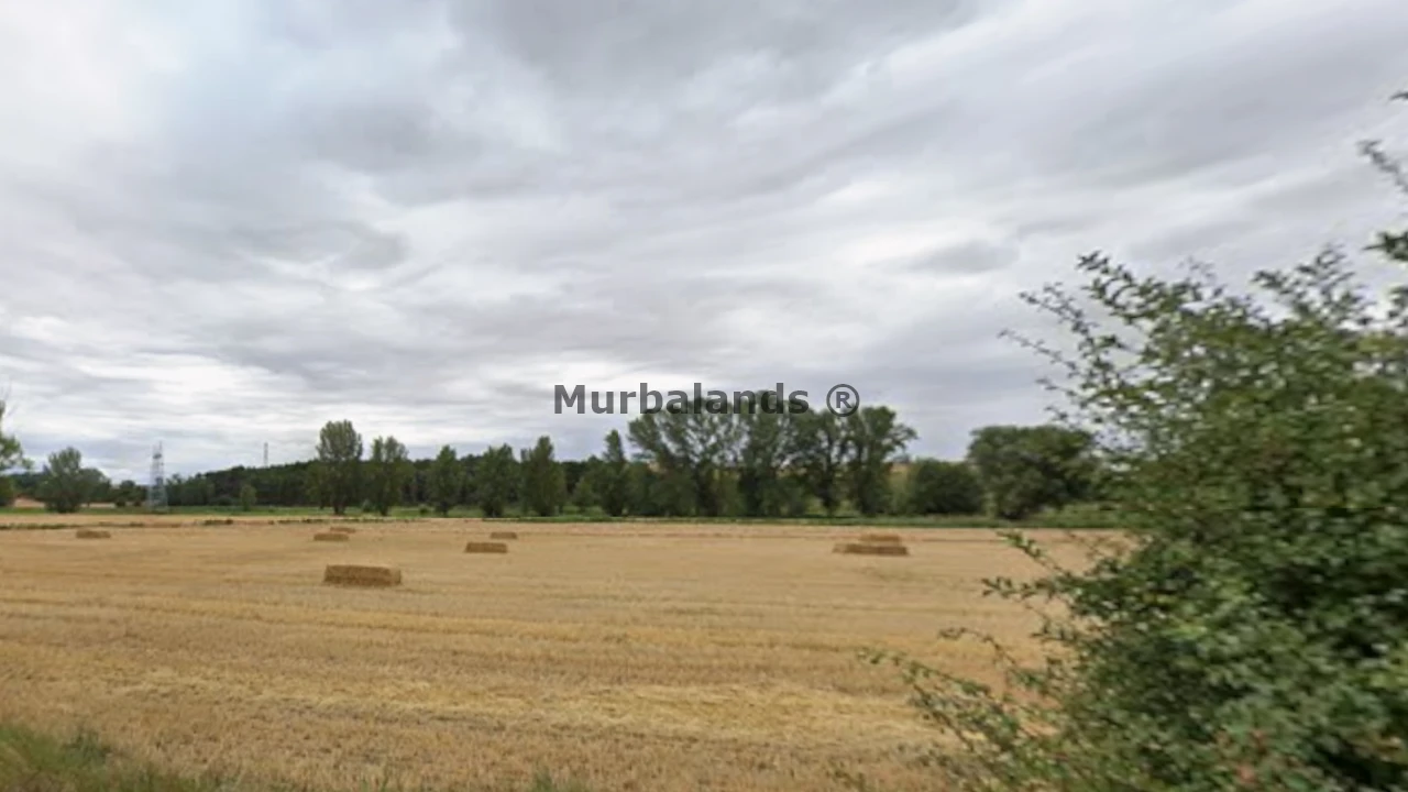 Foto de un terreno o una obra parada para mostrar en el detalle del inmueble