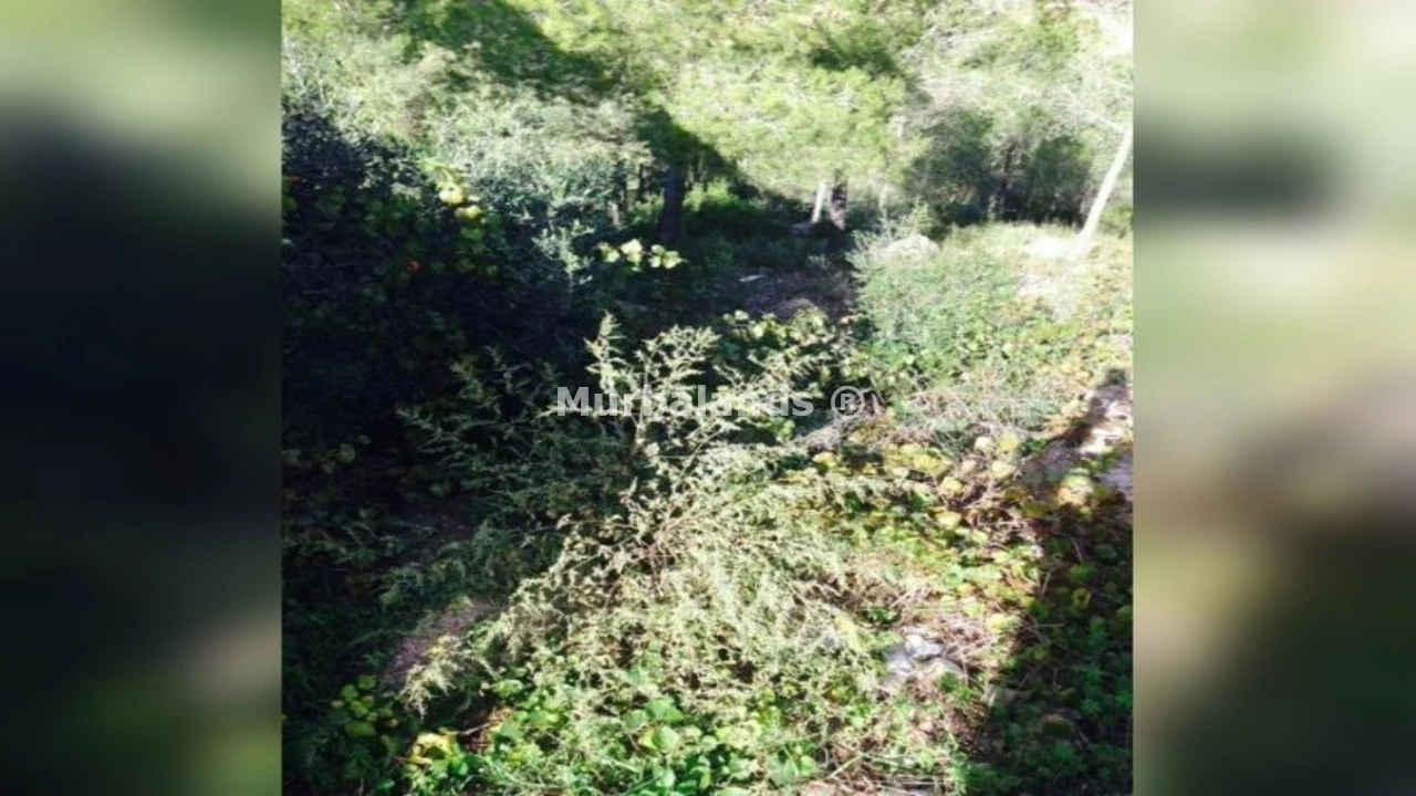 Foto de un terreno o una obra parada para mostrar en el detalle del inmueble