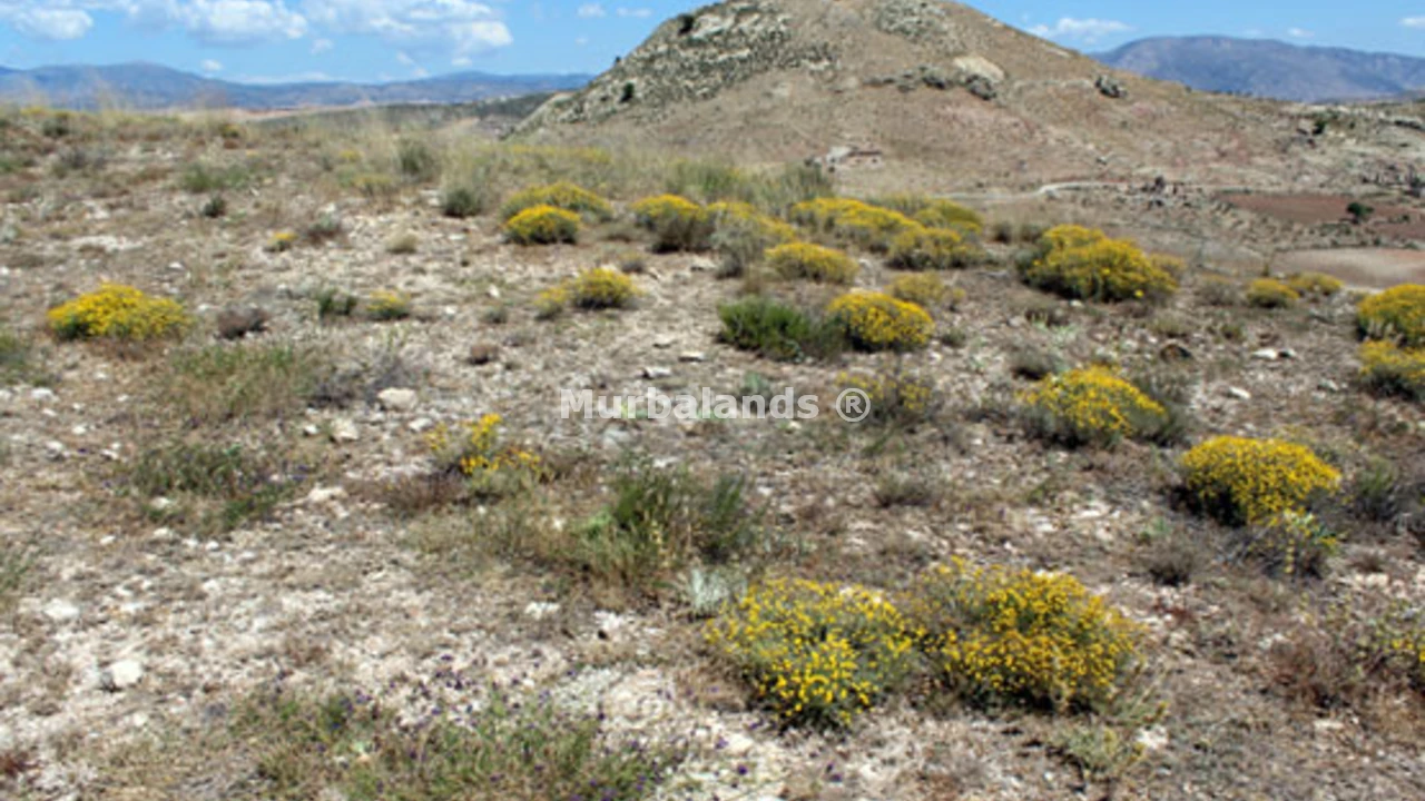 Foto de un terreno o una obra parada para mostrar en el detalle del inmueble