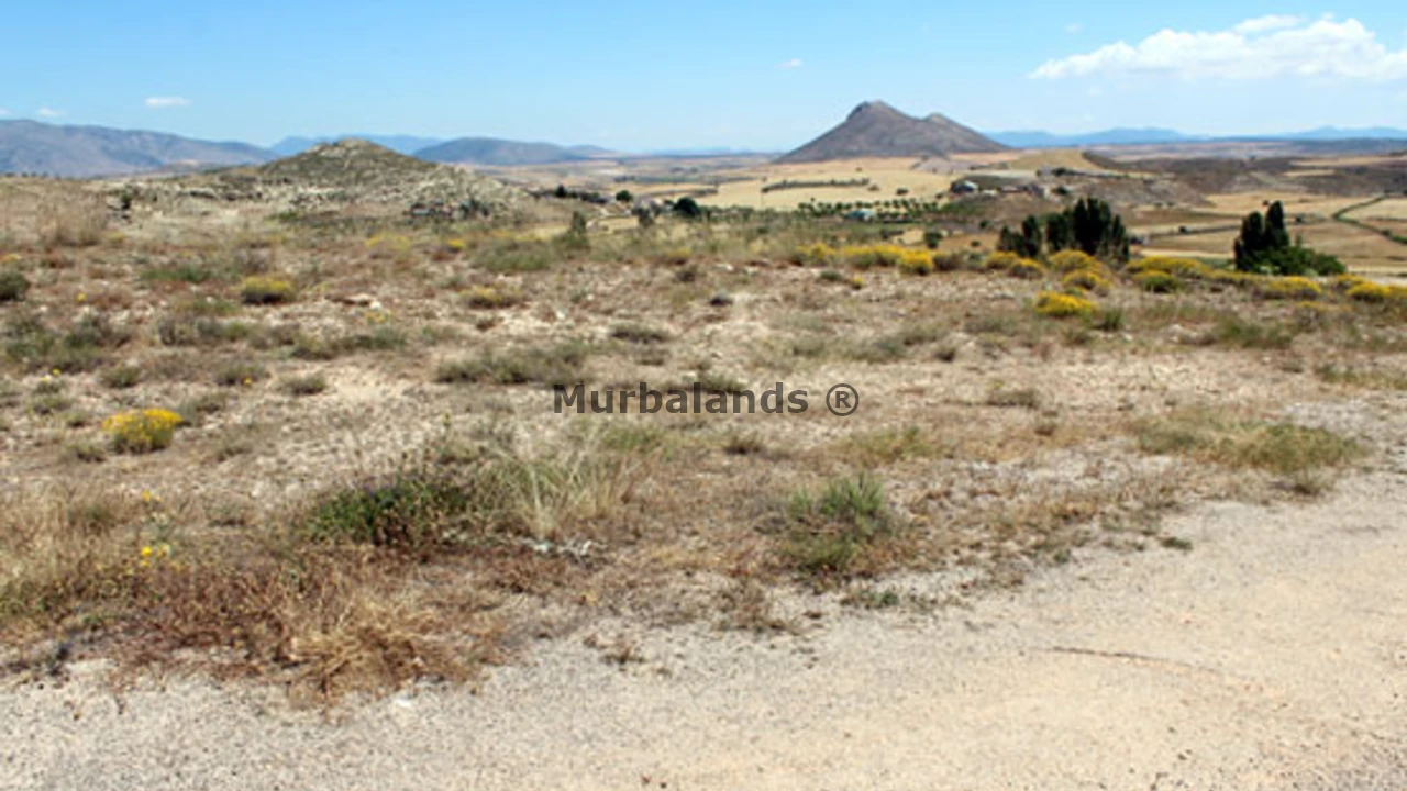 Foto de un terreno o una obra parada para mostrar en el detalle del inmueble