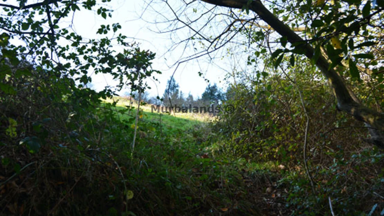 Foto de un terreno o una obra parada para mostrar en el detalle del inmueble
