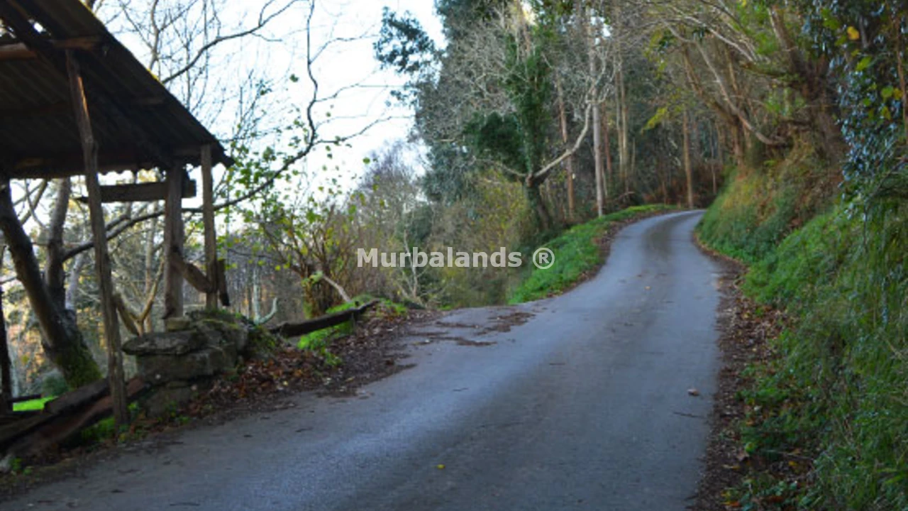 Foto de un terreno o una obra parada para mostrar en el detalle del inmueble