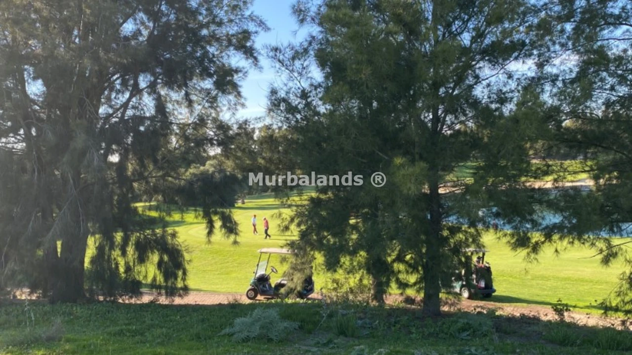 Foto de un terreno o una obra parada para mostrar en el detalle del inmueble