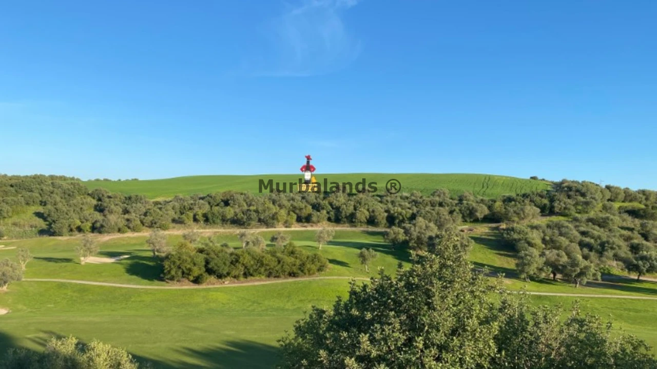 Foto de un terreno o una obra parada para mostrar en el detalle del inmueble