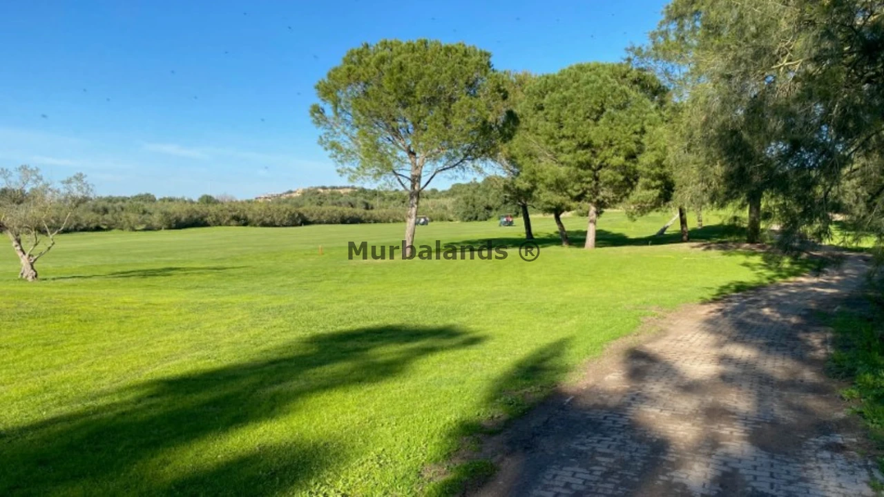 Foto de un terreno o una obra parada para mostrar en el detalle del inmueble