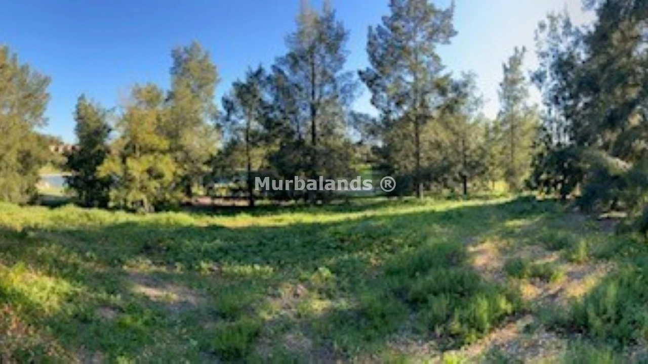 Foto de un terreno o una obra parada para mostrar en el detalle del inmueble