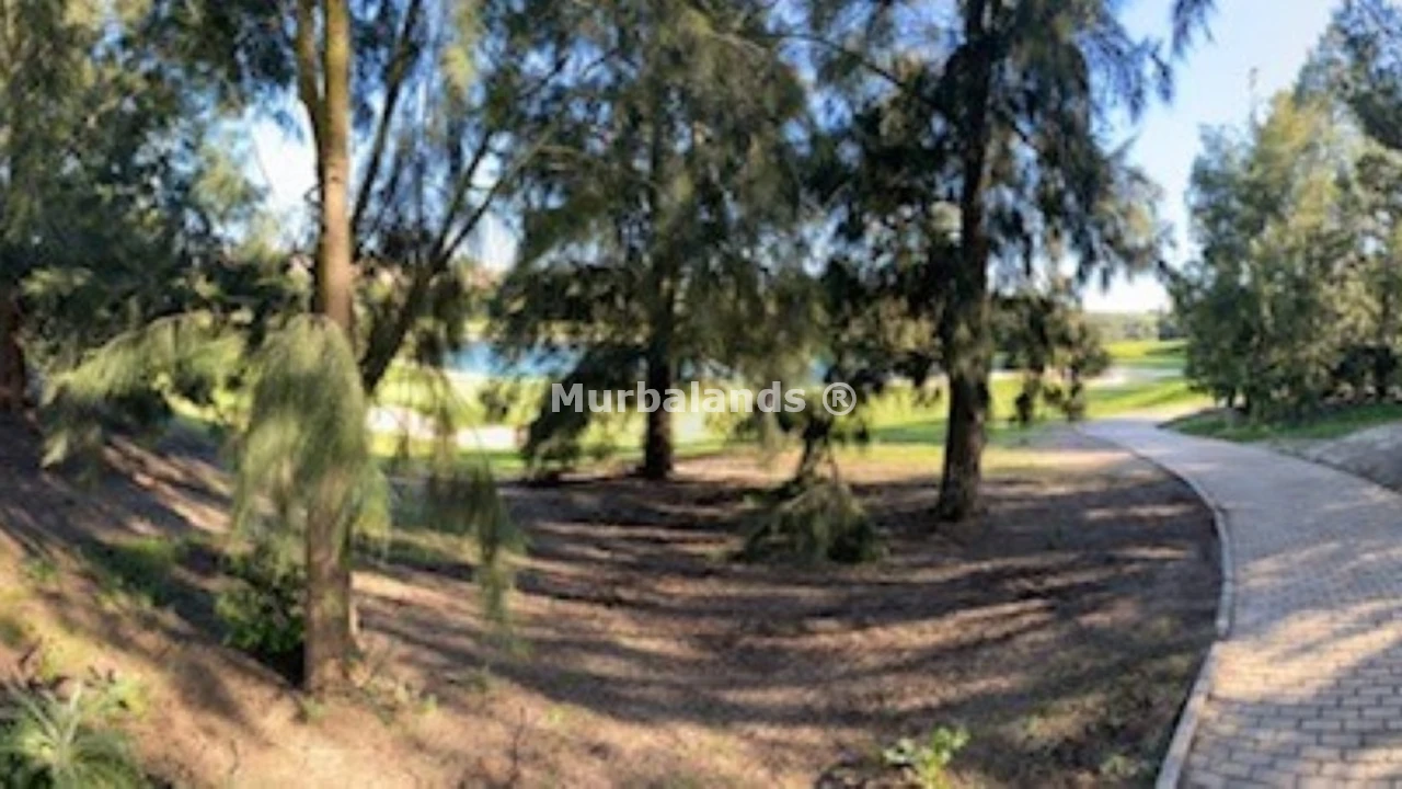Foto de un terreno o una obra parada para mostrar en el detalle del inmueble