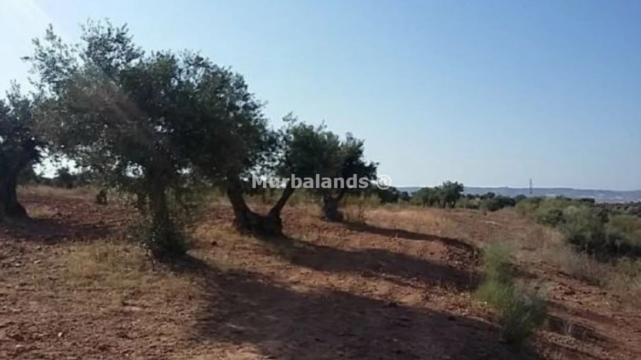 Terreno destacado