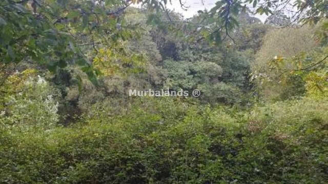 Foto de un terreno o una obra parada para mostrar en el detalle del inmueble