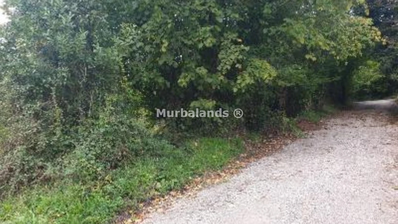 Foto de un terreno o una obra parada para mostrar en el detalle del inmueble